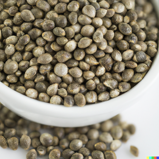 Roasted Indian Hemp Seeds 1 KG